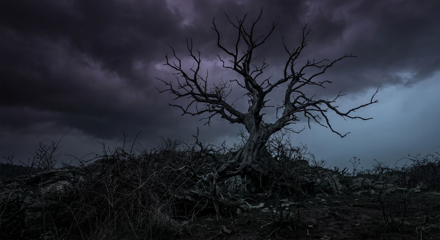 A bare tree under storm clouds